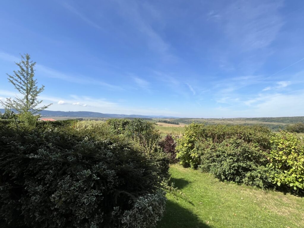 Landschaft im Thüringer Wald